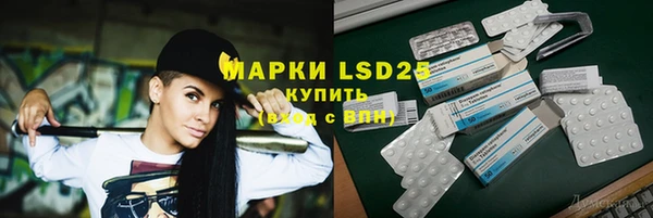 гидра Карпинск