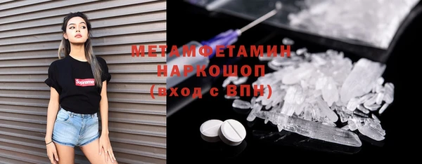 гидра Карпинск