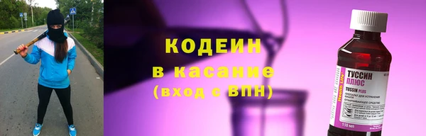гидра Карпинск