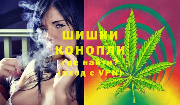 гидра Карпинск