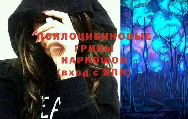 гидра Карпинск