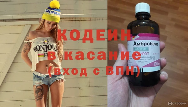гидра Карпинск