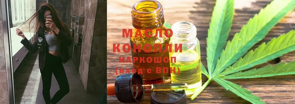 гидра Карпинск